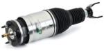 Arnott Brat arc pneumatic Arnott AS-3618 (AS-3618)