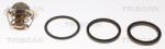 TRISCAN Termostat, lichid racire TRISCAN 8620 3982 (8620 3982)