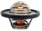 Meat & Doria Termostat, lichid racire MEAT & DORIA 92471 (92471)