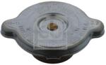 Febi Bilstein Buson, vas expansiune FEBI BILSTEIN 05420 (05420)