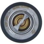 NRF Termostat, lichid racire NRF 725126 (725126)