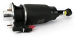 Arnott Brat arc pneumatic Arnott AS-3461 (AS-3461)