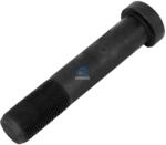 DT Spare Parts Bolt roata DT Spare Parts 4.40141 (4.40141)