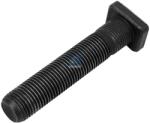 DT Spare Parts Bolt roata DT Spare Parts 1.17027 (1.17027)
