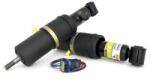 Arnott Brat arc pneumatic Arnott AS-2125 (AS-2125)