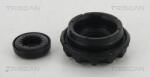 TRISCAN Rulment sarcina suport arc TRISCAN 8500 29904 (8500 29904)