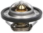 THERMOTEC Termostat, lichid racire THERMOTEC D2R001TT (D2R001TT)
