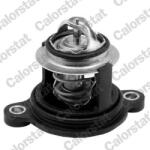 CALORSTAT by Vernet Termostat, lichid racire CALORSTAT by Vernet TH7335.50J (TH7335.50J)