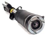 Arnott Brat arc pneumatic Arnott AS-2764 (AS-2764)