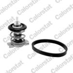 CALORSTAT by Vernet Termostat, lichid racire CALORSTAT by Vernet TH9200.88J (TH9200.88J)