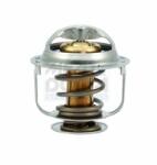 Meat & Doria Termostat, lichid racire MEAT & DORIA 92239 (92239)