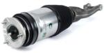 Arnott Brat arc pneumatic Arnott AS-3176 (AS-3176)