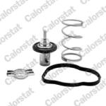 CALORSTAT by Vernet Termostat, lichid racire CALORSTAT by Vernet THK7276.83J (THK7276.83J)