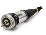 Arnott Brat arc pneumatic Arnott AS-2855 (AS-2855)