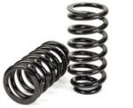 Arnott Set suspensie, arcuri elicoidale Arnott C-3080 (C-3080) - fixbox
