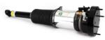 Arnott Brat arc pneumatic Arnott ASE-3819 (ASE-3819)