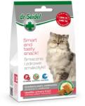 DR SEIDEL gustări pisici tract urinar sănătos L-metionină 50 g