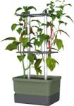 Gusta Garden CHARLY CHILI Standard, sötétzöld (GG-103710)