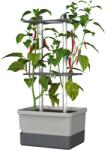 Gusta Garden CHARLY CHILI Standard, világosszürke (GG-100710S)