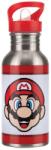 Paladone Super Mario Metal Water Bottle with Straw (T-MLX61021) - vexio