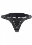 Hidden Desire Seductive Thong Strap-On