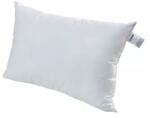 Inter-widex Díszpárna 40x60 INTER-WIDEX, fehér (SHCLPS40x60B400g)