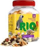 RIO madár snack óriáspapagájnak gyümölcs&magvak 160g