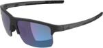 Alpina Ochelari ALPINA EAGLE Q-LITE, black matt/mirror blue ()