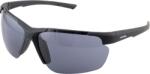 Alpina Ochelari ALPINA DEFEY HR, black matt/black ()