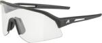Alpina Ochelari ALPINA SONIC HR V, black matt