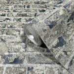 MARBURG Kőmintás szürke vlies tapéta MARBURG/WOOD&STONES 94271 (94271)