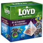 LOYD Piramis tea szeder-áfonya 20 filter (40g)