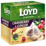 LOYD Piramis tea gyömbér-vörösáfonya 20 filter (40g)