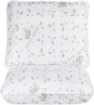 Somnart Set 2 perne matlasate Somnart Aloe Vera 60x60 cm, microfibra (7147)