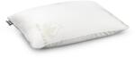 Somnart Perna Somnart 4 anotimpuri cu Memory Foam si Aloe Vera, 40x60 cm (224)