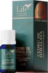 BIONOVATIV Ulei Esential Integral de Cedru de Himalaya pentru Uz Intern 5ml