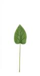 Bizzotto Set 3 frunze Cala artificiala 19x72 cm (0170733X)