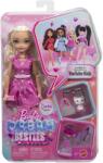 Mattel Barbie Dream Besties Papusa Barbie Malibu cu Accesorii (MTJKP50) - edanco Papusa Barbie