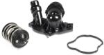 HEPU Termostat, lichid racire HEPU TM1058 (TM1058)
