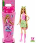 Mattel Barbie Pop Reveal doll from the series: Shake + cat and accessories ZA6061