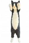 Dubi A 55cm tall black and white standing cat