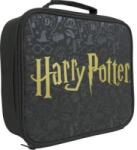 Kids Euroswan Harry Potter Logo lunch bag