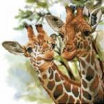 Comandante Diamond embroidery Diamond Dotz Giraffes 48x48cm DD8017