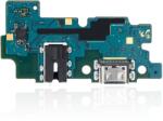 Samsung Placa port incarcare Samsung Galaxy A20 (A205)