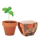  Kit Gradinarit, Ghiveci de Teracota cu Seminte de Busuioc, 5x6x5.5 cm
