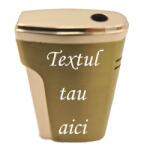  Bricheta Metalica Personalizata cu Textul Tau, Gaz, Antivant, Cutie, Auriu Bricheta