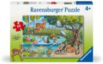 Ravensburger - Puzzle animale deasupra si sub apa 60 piese - RVSPC04100 (RVSPC04100) Puzzle