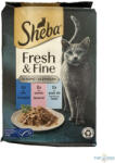 Sheba 6x50g Fresh Fine Tonhal, Lazac, Fehérhúsú hal