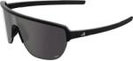 Alpina Ochelari ALPINA RAM 2.0 Q-LITE, black matt/mirror silver ()