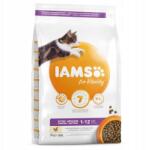 Iams macskaeledel kiscicának, csirkével 3 kg